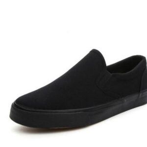 Casual Canvas Shoes